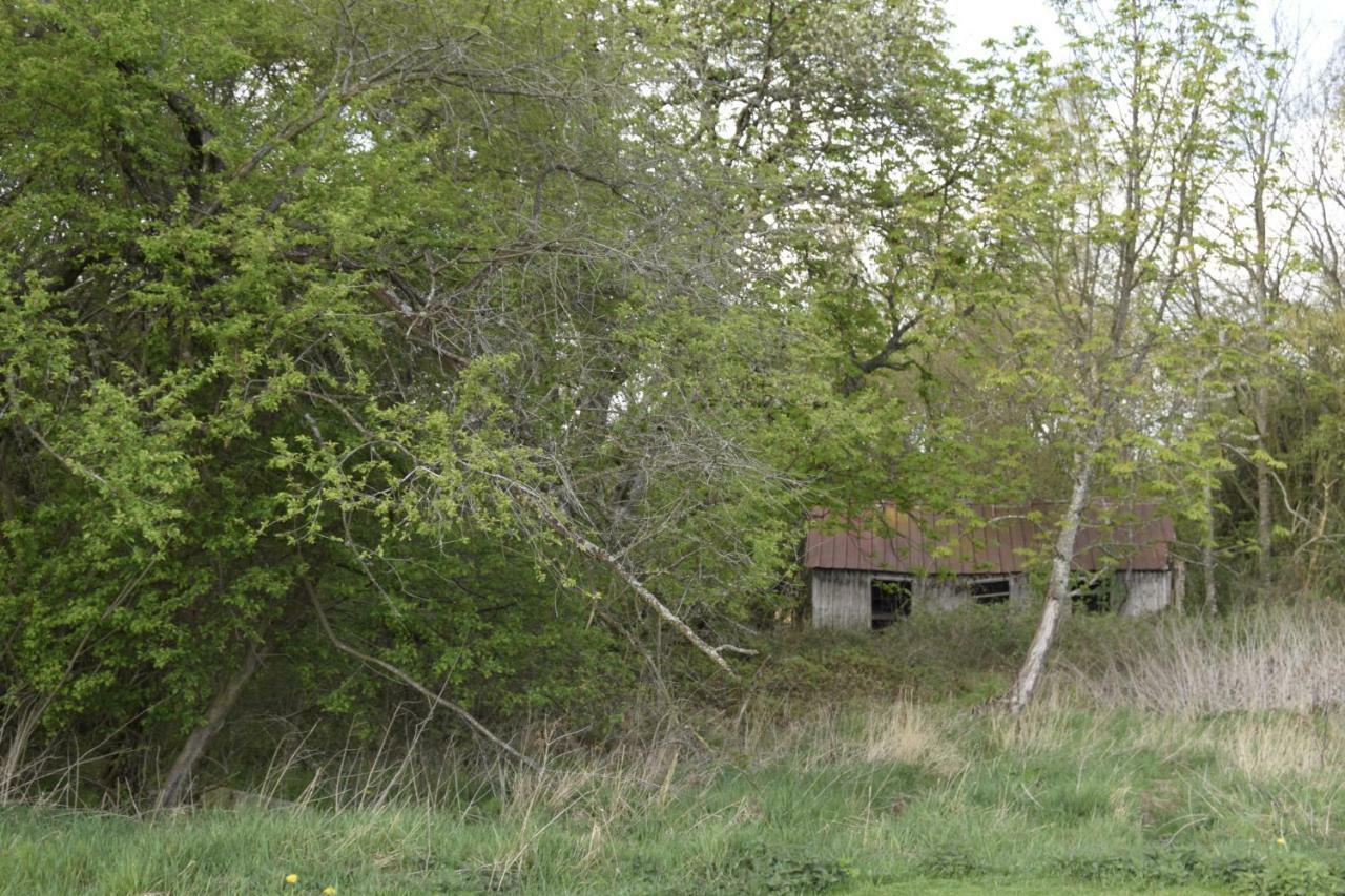 斯坎讷堡Fredensholm Annex公寓 外观 照片